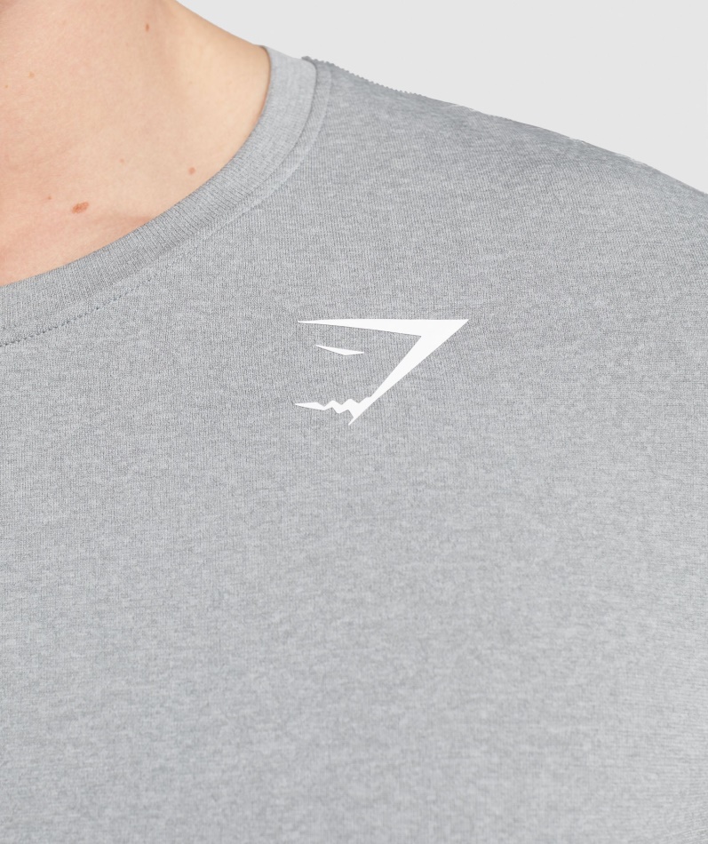 Gymshark Ankomst Sømløs T-skjorte Grå