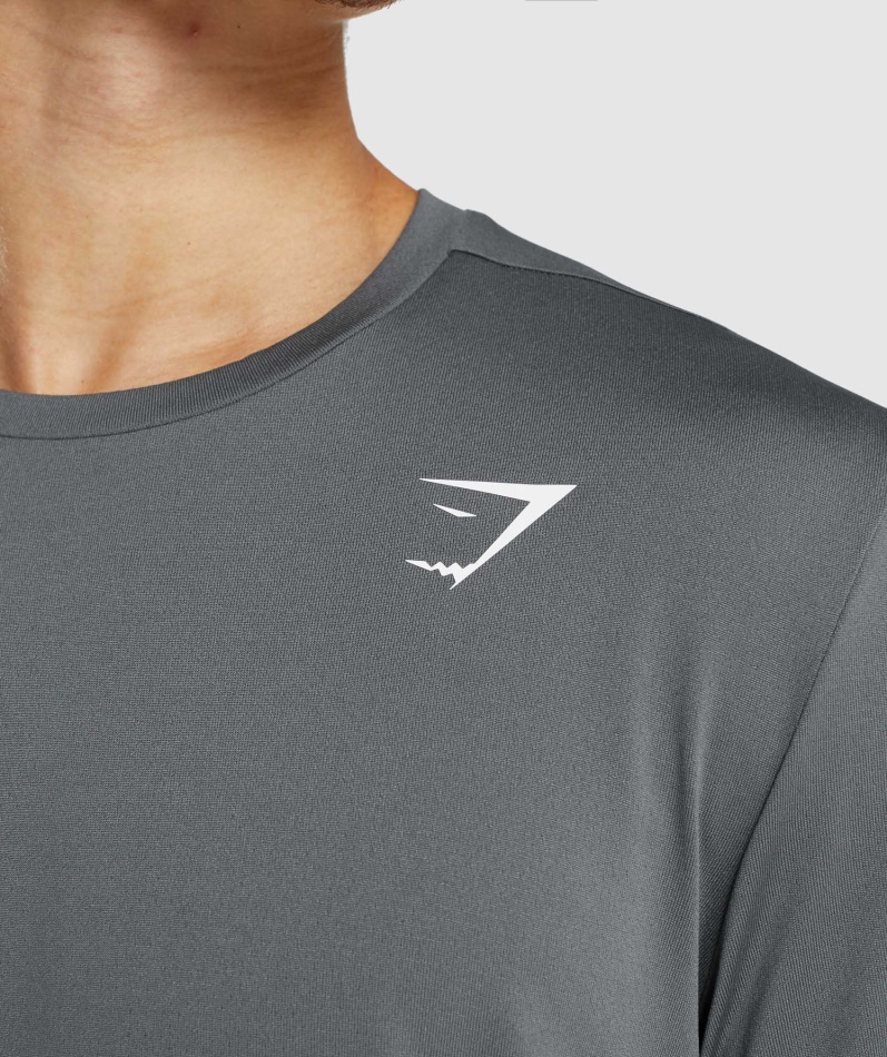 Gymshark Ankomst T-skjorte Kull