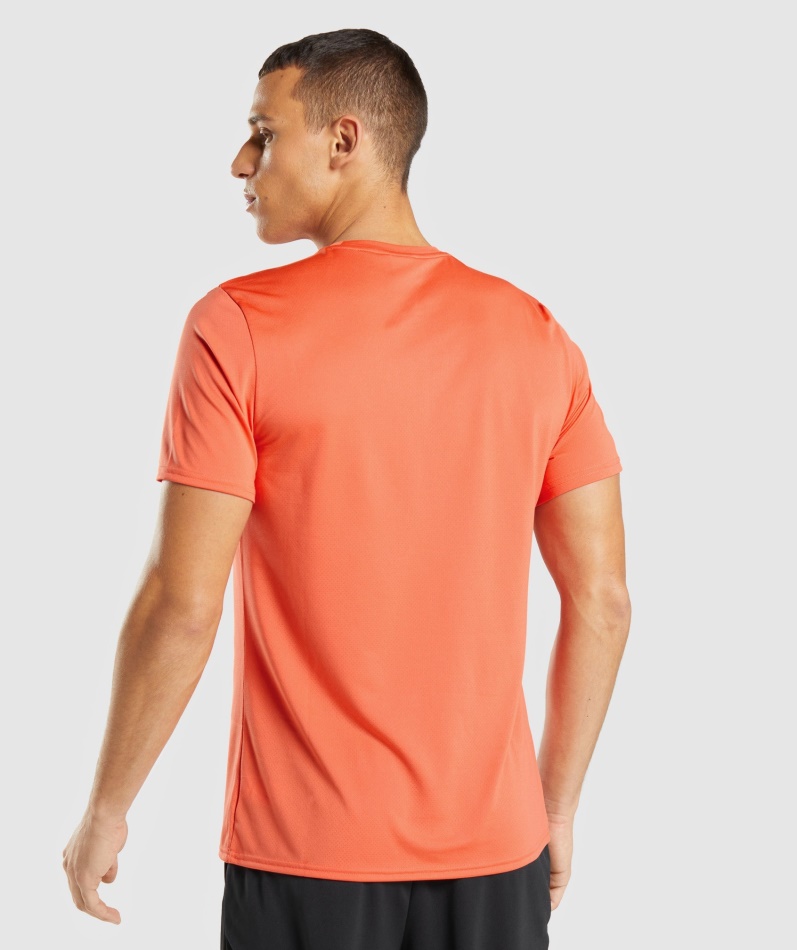 Gymshark Ankomst T-skjorte Papaya Oransje