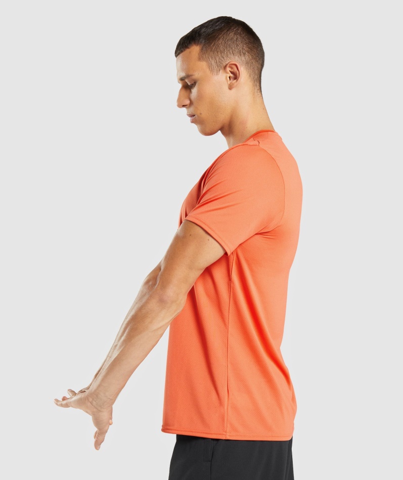 Gymshark Ankomst T-skjorte Papaya Oransje