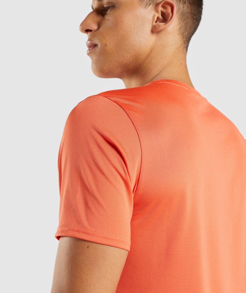 Gymshark Ankomst T-skjorte Papaya Oransje