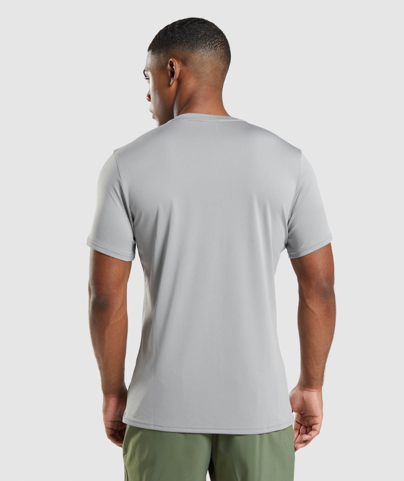 Gymshark Ankomst T-skjorte Røykgrå
