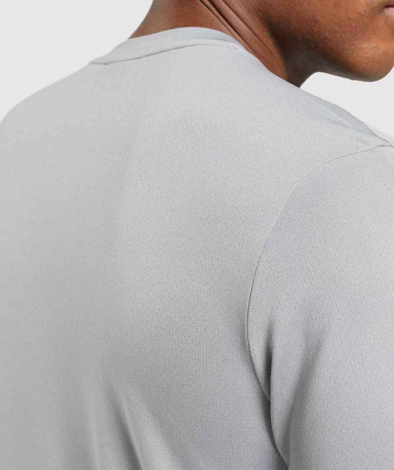 Gymshark Ankomst T-skjorte Røykgrå