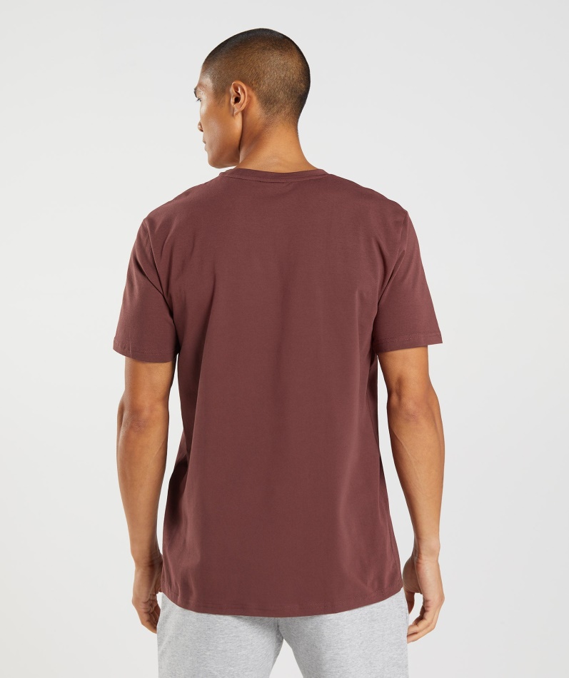 Gymshark Blokk T-skjorte Kirsebærbrun