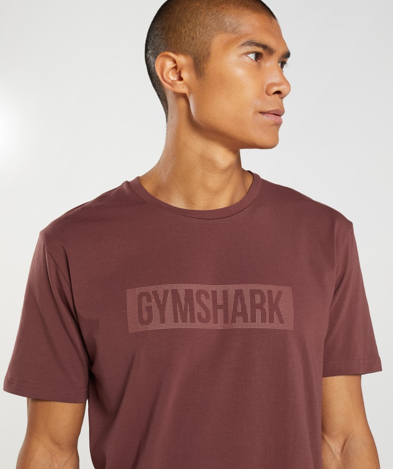Gymshark Blokk T-skjorte Kirsebærbrun