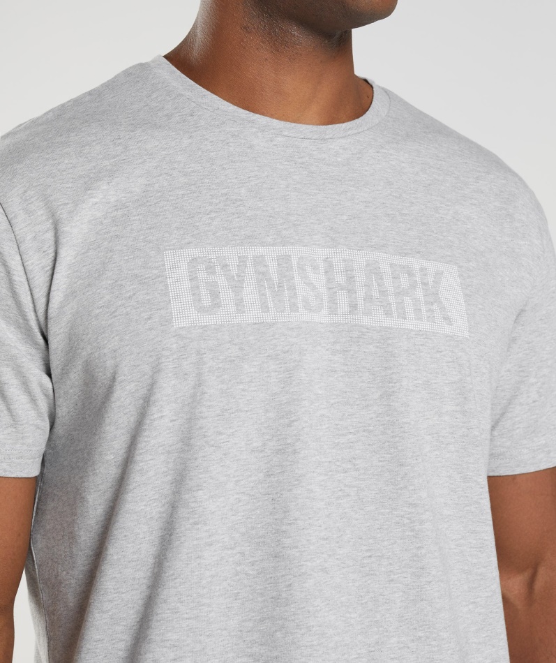 Gymshark Blokk T-skjorte Lys Grå Mergel
