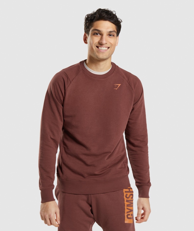 Gymshark Bold Crew Kirsebærbrun