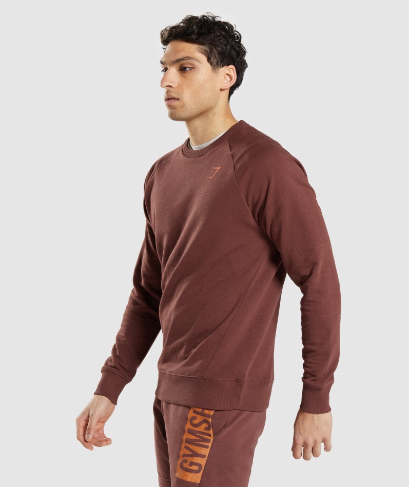 Gymshark Bold Crew Kirsebærbrun