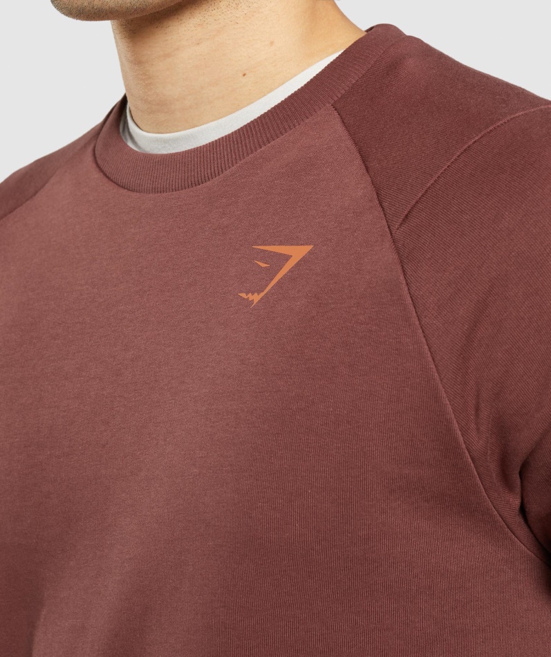 Gymshark Bold Crew Kirsebærbrun