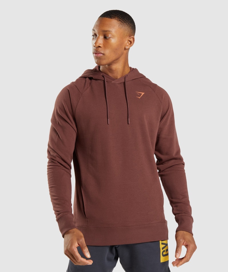 Gymshark Modig Hettegenser Kirsebærbrun