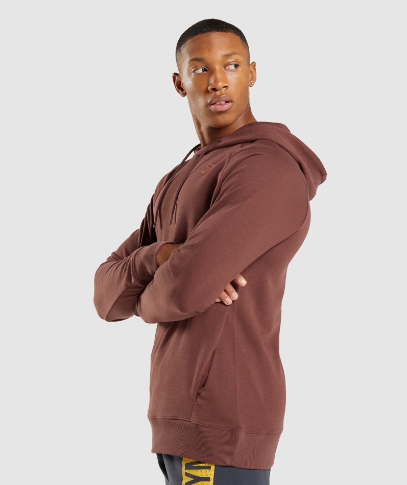 Gymshark Modig Hettegenser Kirsebærbrun
