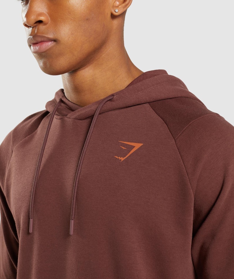 Gymshark Modig Hettegenser Kirsebærbrun