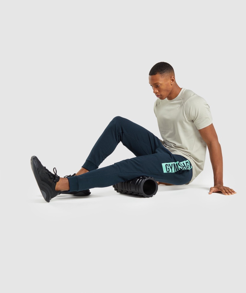 Gymshark Dristige Joggers Marine