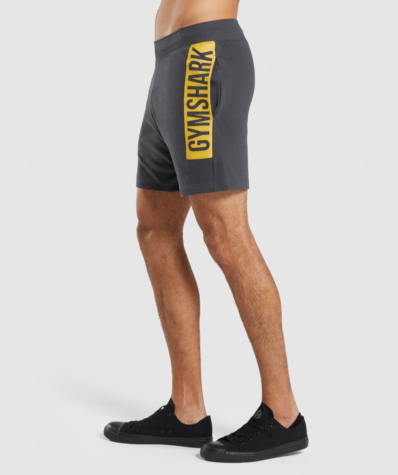 Gymshark Fet Shorts Onyx Grå