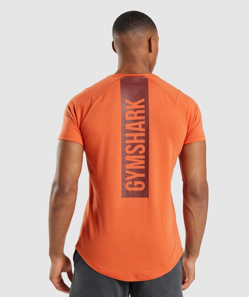 Gymshark Fet T-skjorte Leire Oransje