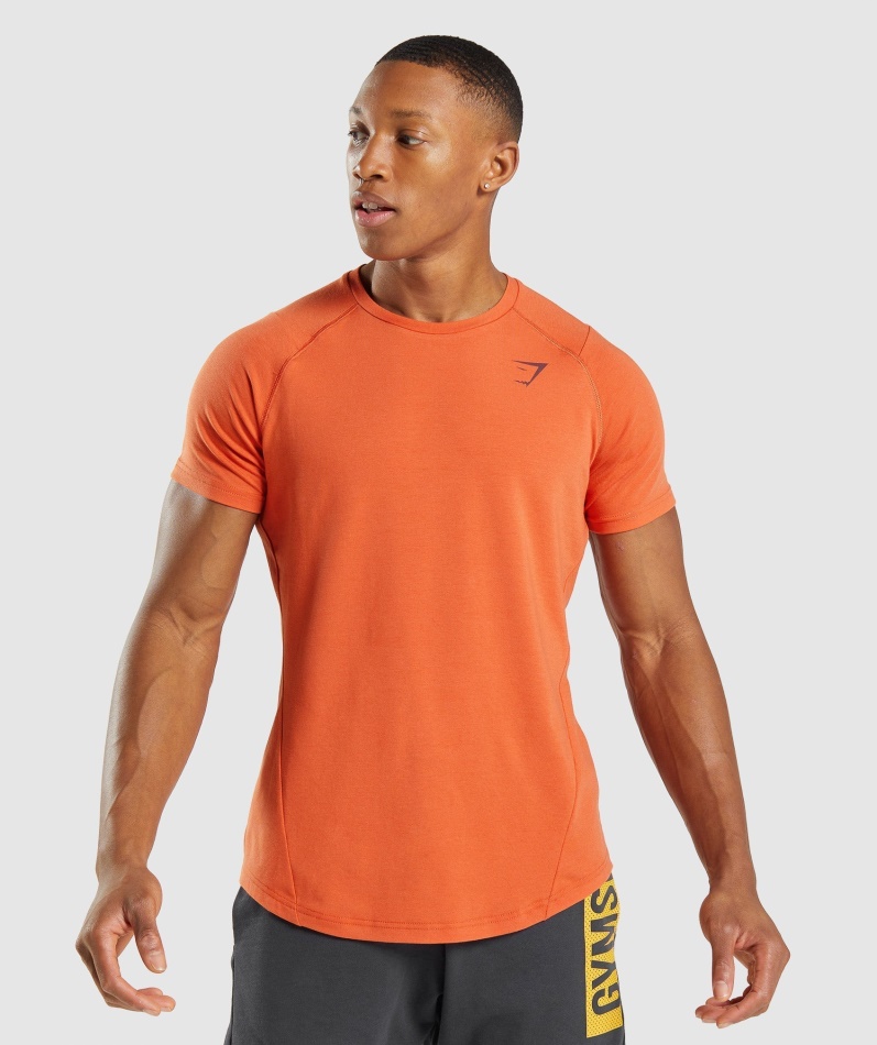 Gymshark Fet T-skjorte Leire Oransje