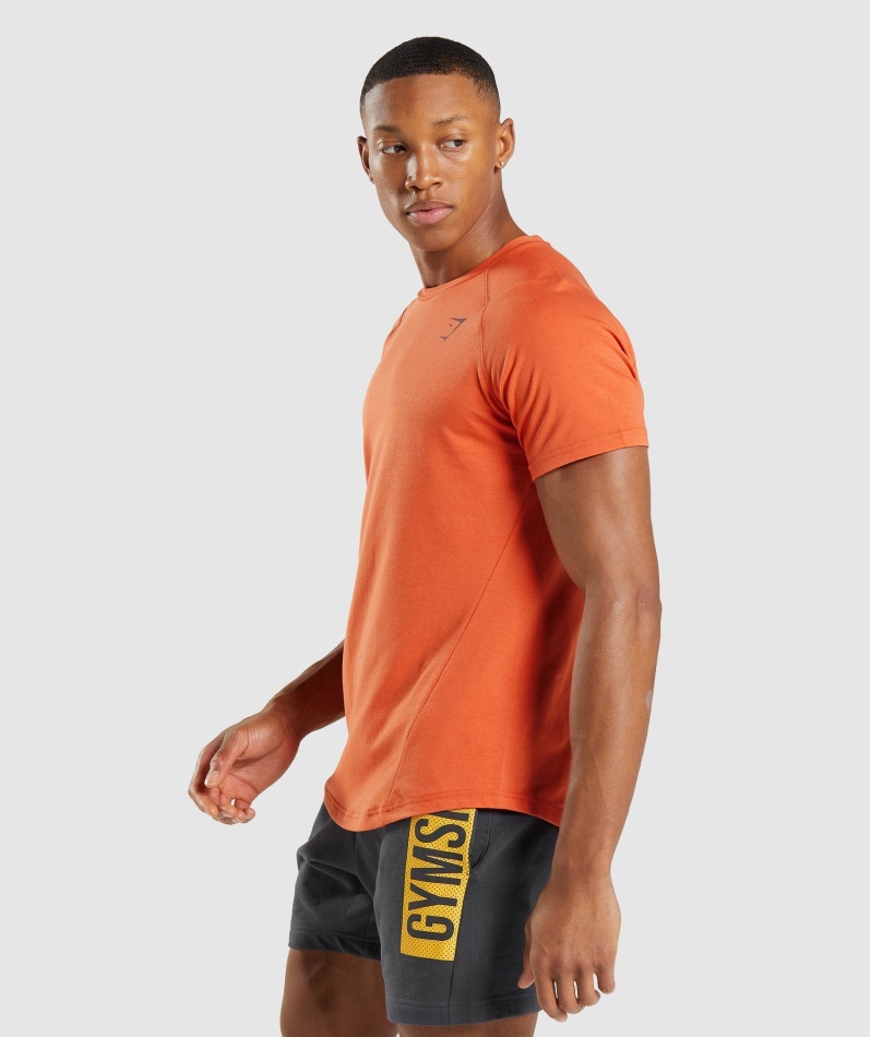 Gymshark Fet T-skjorte Leire Oransje