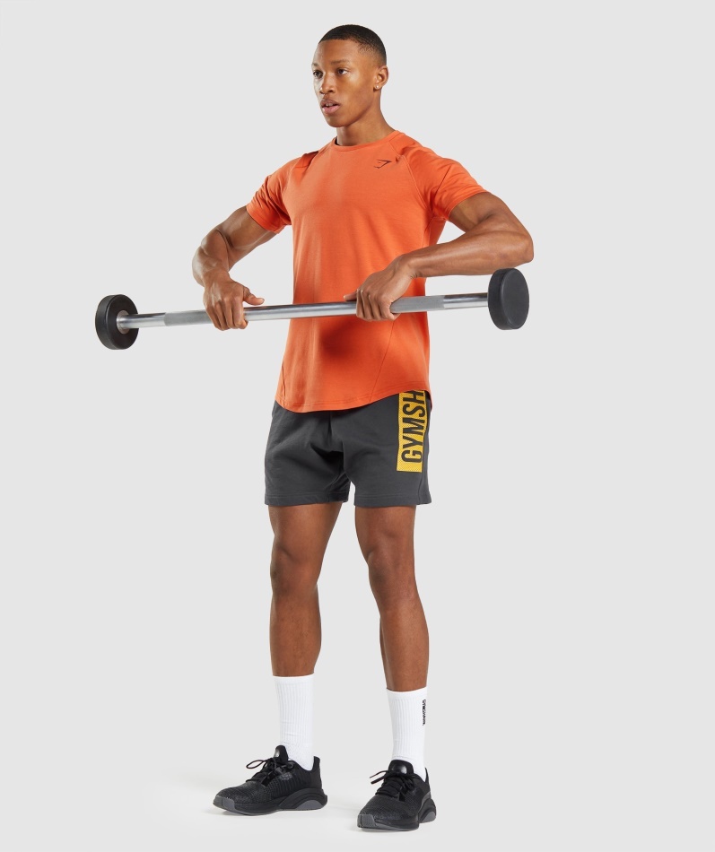 Gymshark Fet T-skjorte Leire Oransje
