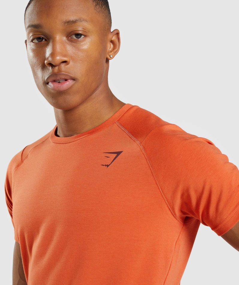Gymshark Fet T-skjorte Leire Oransje