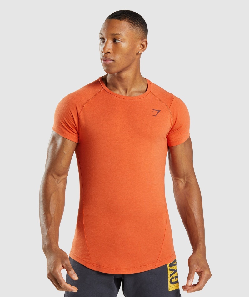 Gymshark Fet T-skjorte Menn Leire Oransje