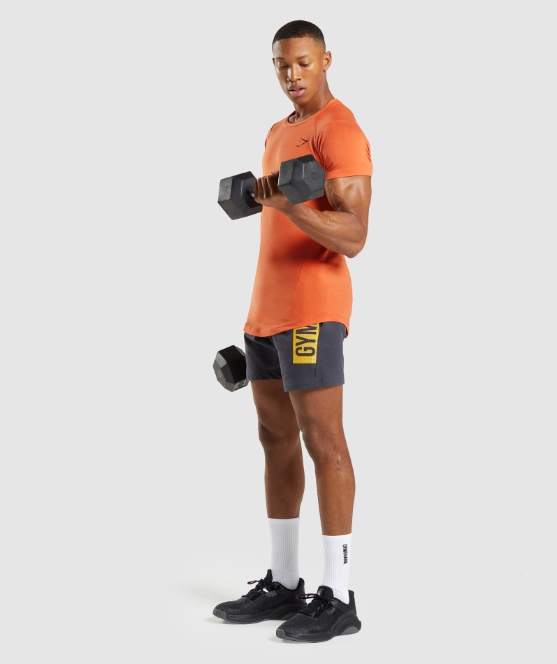 Gymshark Fet T-skjorte Menn Leire Oransje