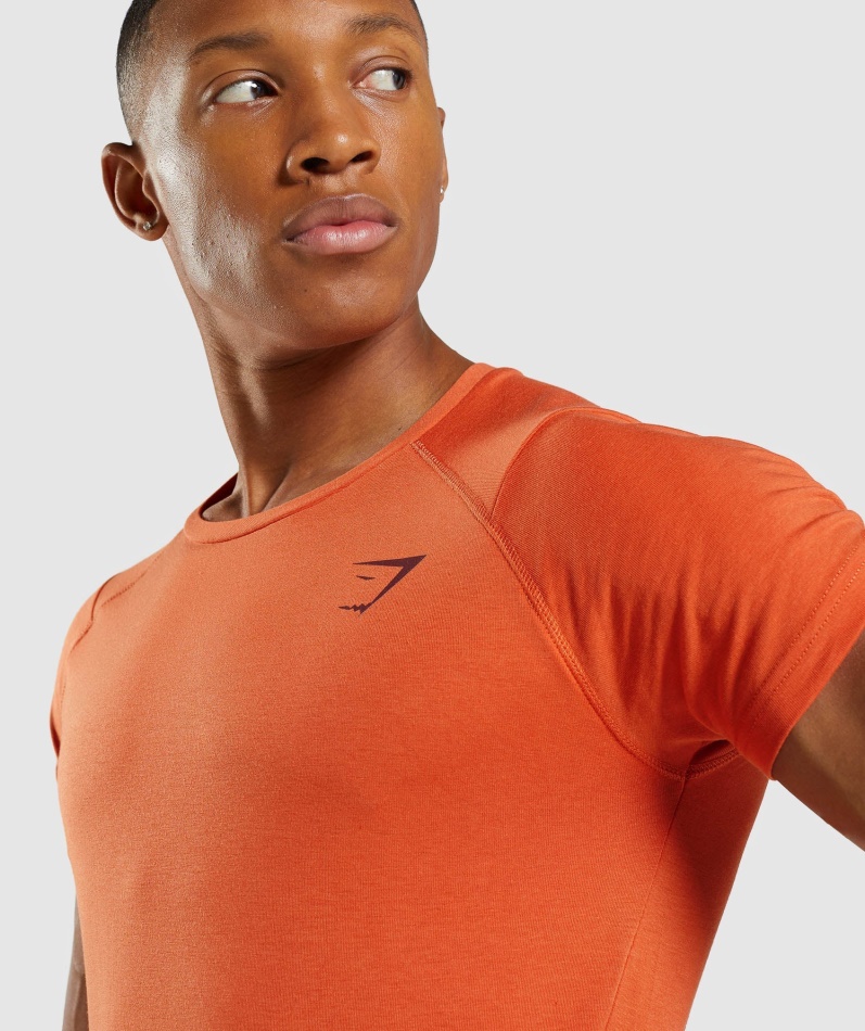 Gymshark Fet T-skjorte Menn Leire Oransje
