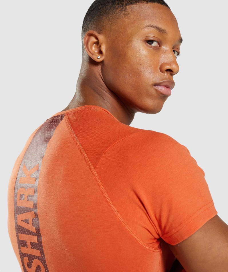 Gymshark Fet T-skjorte Menn Leire Oransje