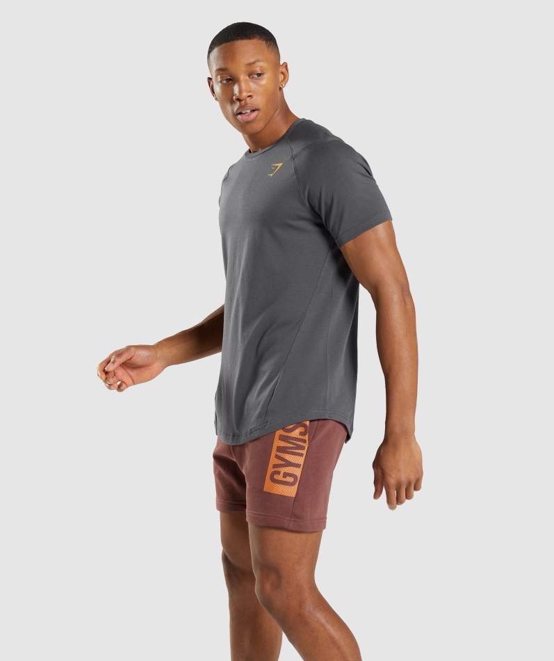 Gymshark Fet T-skjorte Herre Onyx Grå