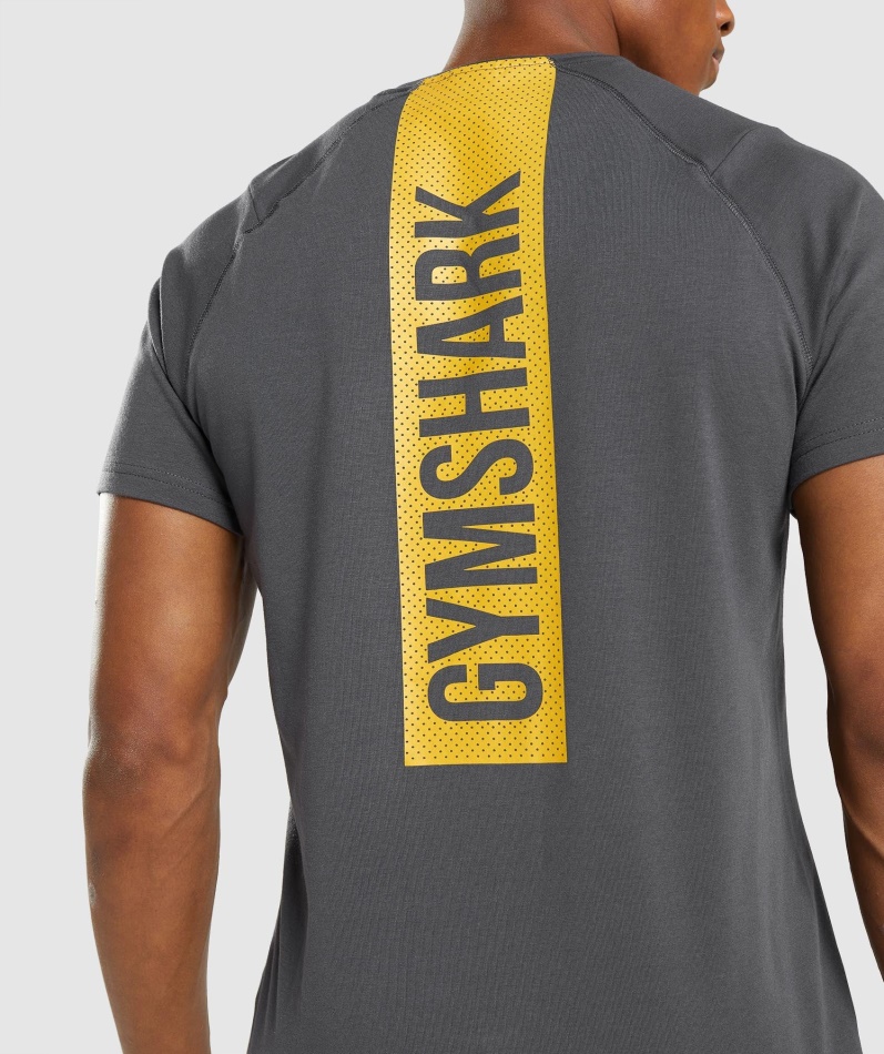 Gymshark Fet T-skjorte Herre Onyx Grå