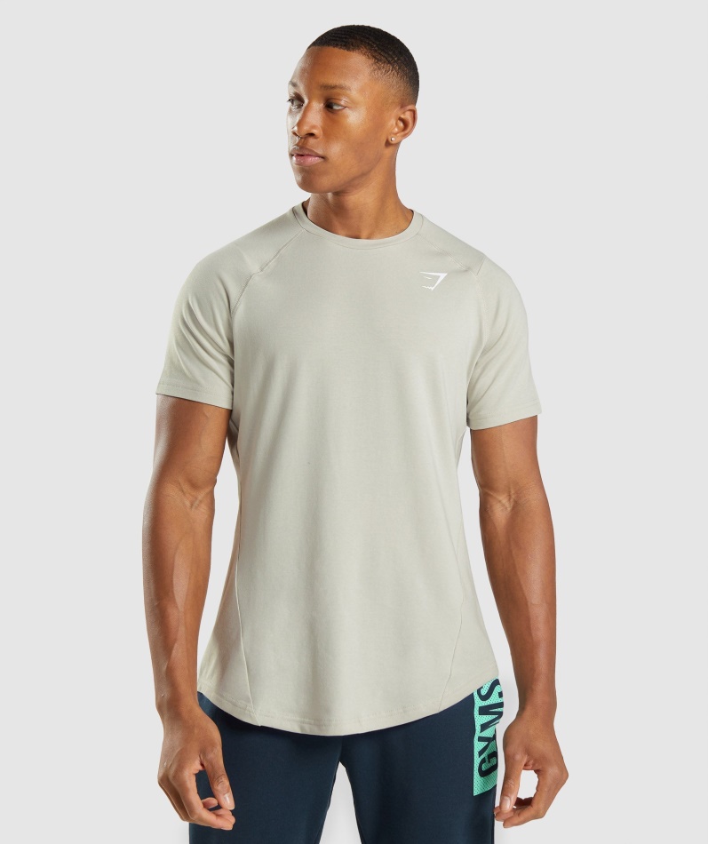 Gymshark Fet T-skjorte Herre Pebble Grå
