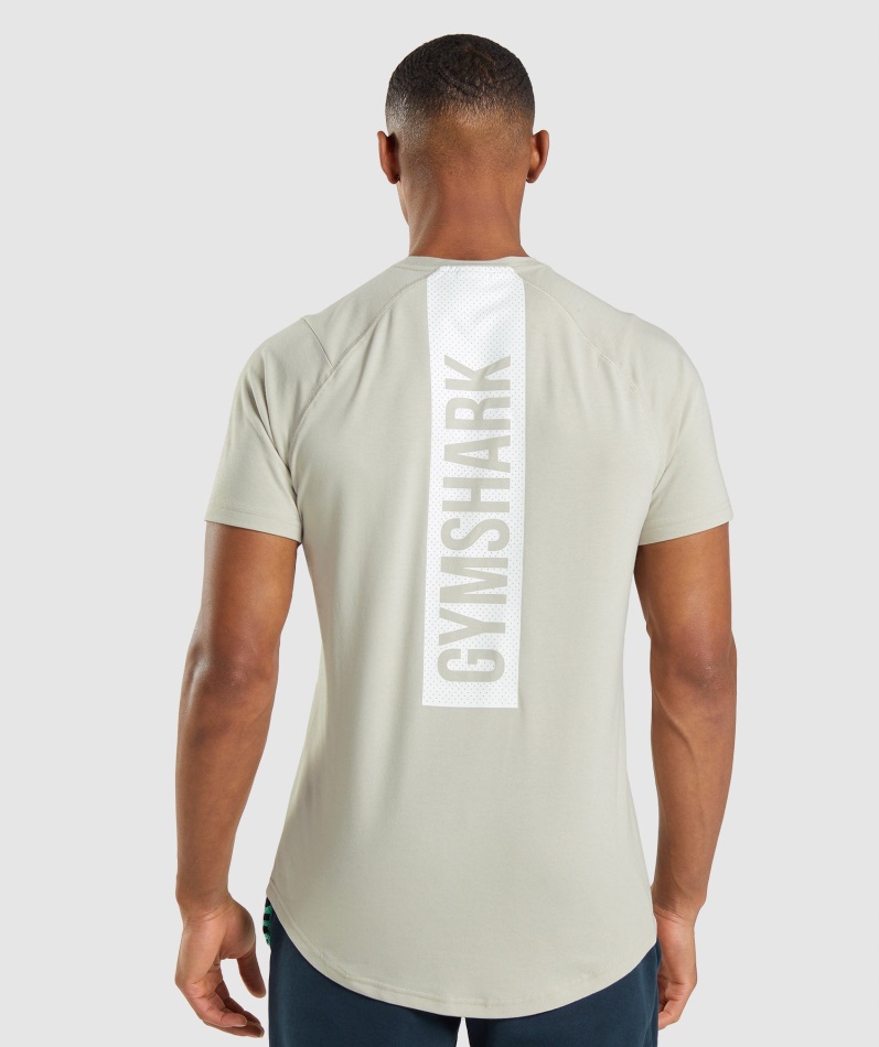 Gymshark Fet T-skjorte Herre Pebble Grå