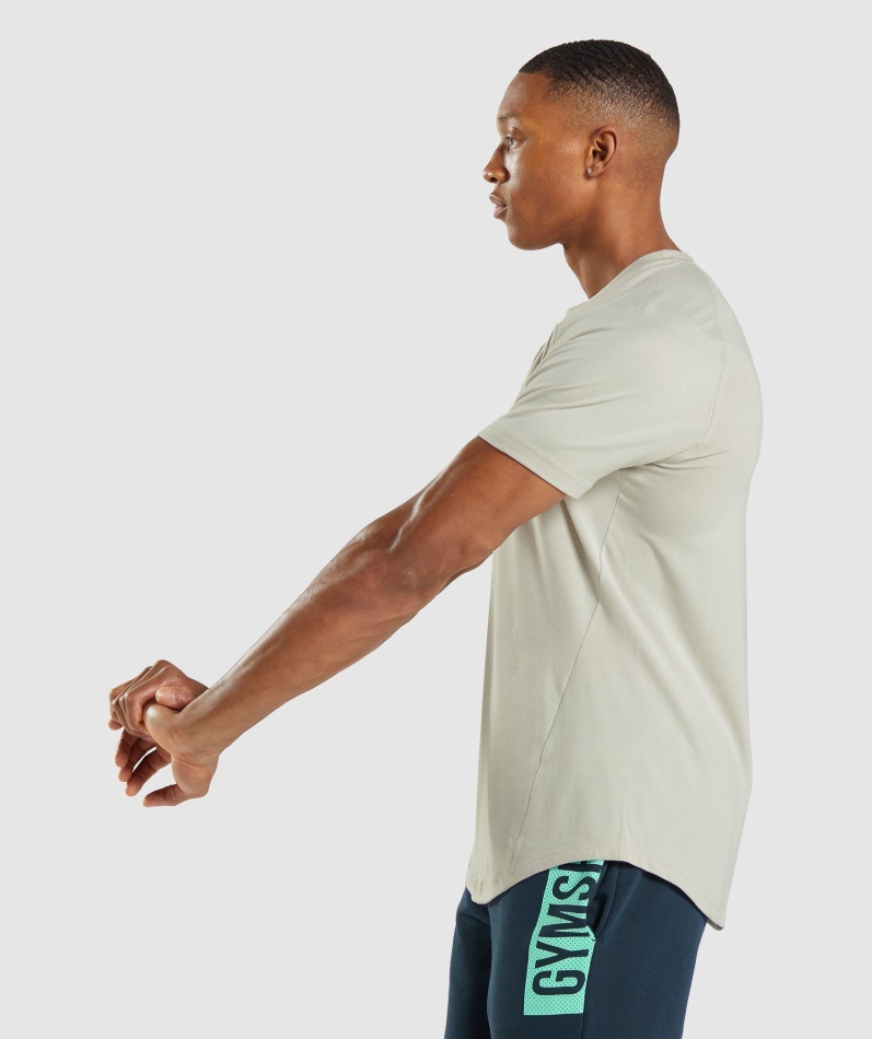 Gymshark Fet T-skjorte Herre Pebble Grå