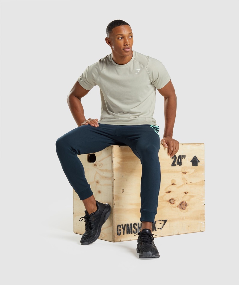 Gymshark Fet T-skjorte Herre Pebble Grå