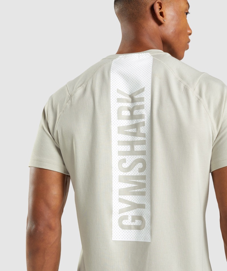Gymshark Fet T-skjorte Herre Pebble Grå