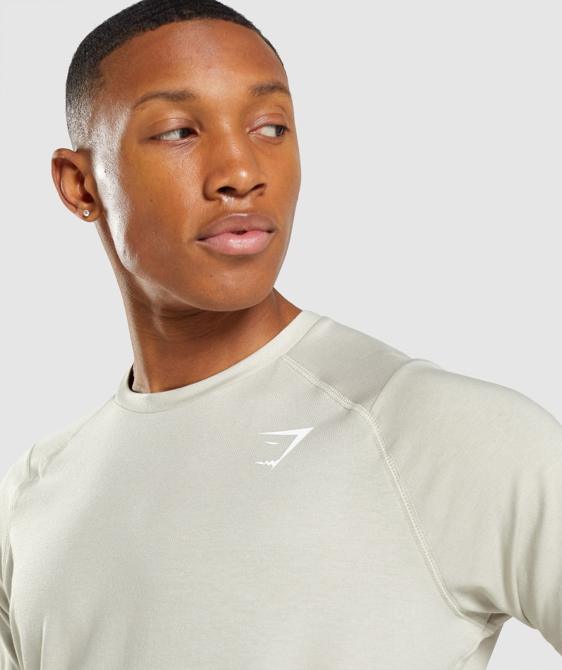 Gymshark Fet T-skjorte Herre Pebble Grå