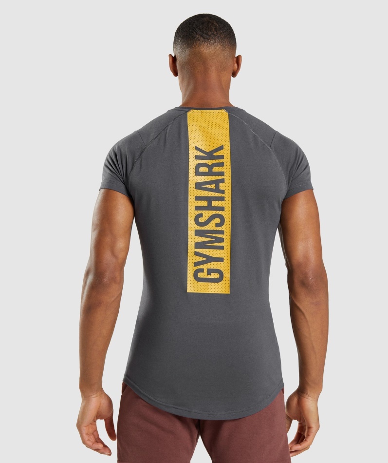 Gymshark Modig T-skjorte Onyx Grå