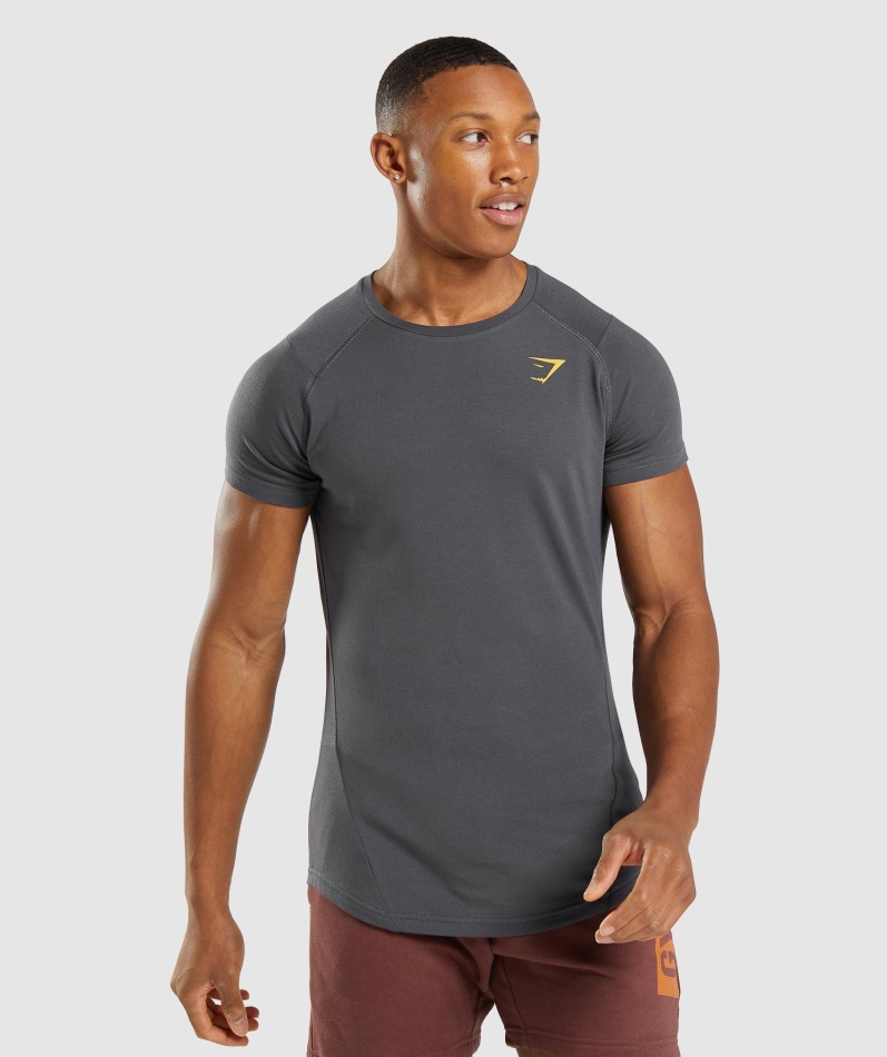 Gymshark Modig T-skjorte Onyx Grå