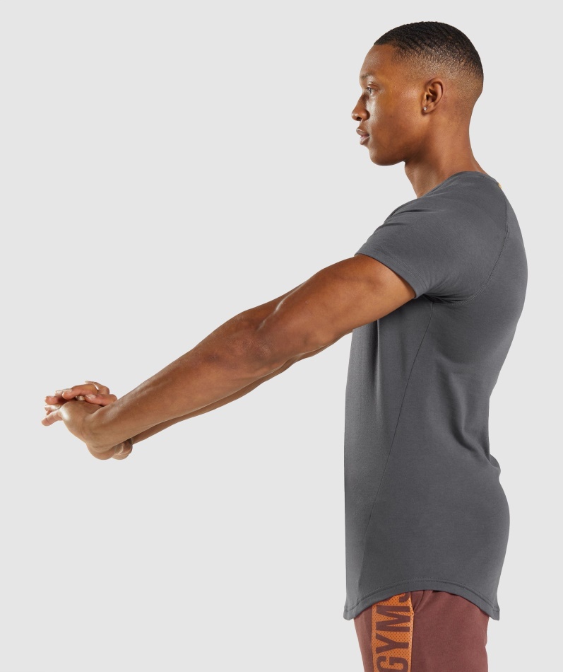 Gymshark Modig T-skjorte Onyx Grå