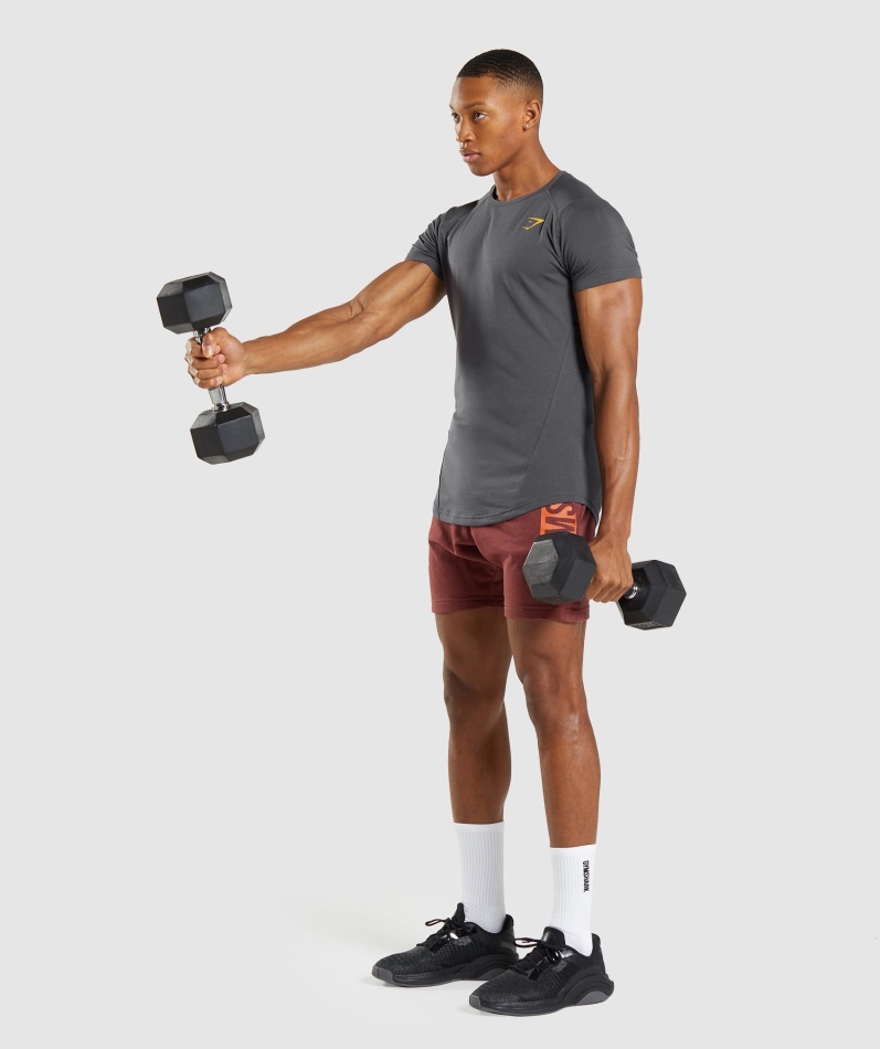 Gymshark Modig T-skjorte Onyx Grå