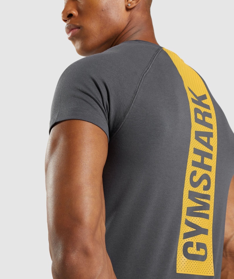 Gymshark Modig T-skjorte Onyx Grå