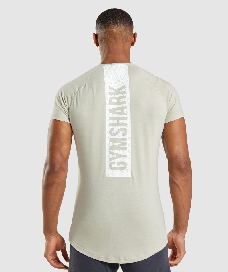 Gymshark Modig T-skjorte Pebble Grå
