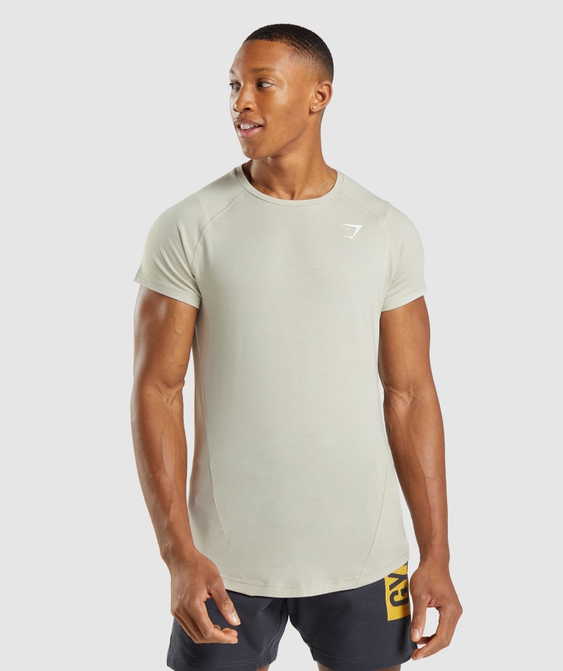 Gymshark Modig T-skjorte Pebble Grå