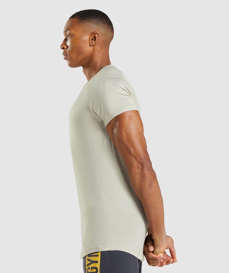 Gymshark Modig T-skjorte Pebble Grå