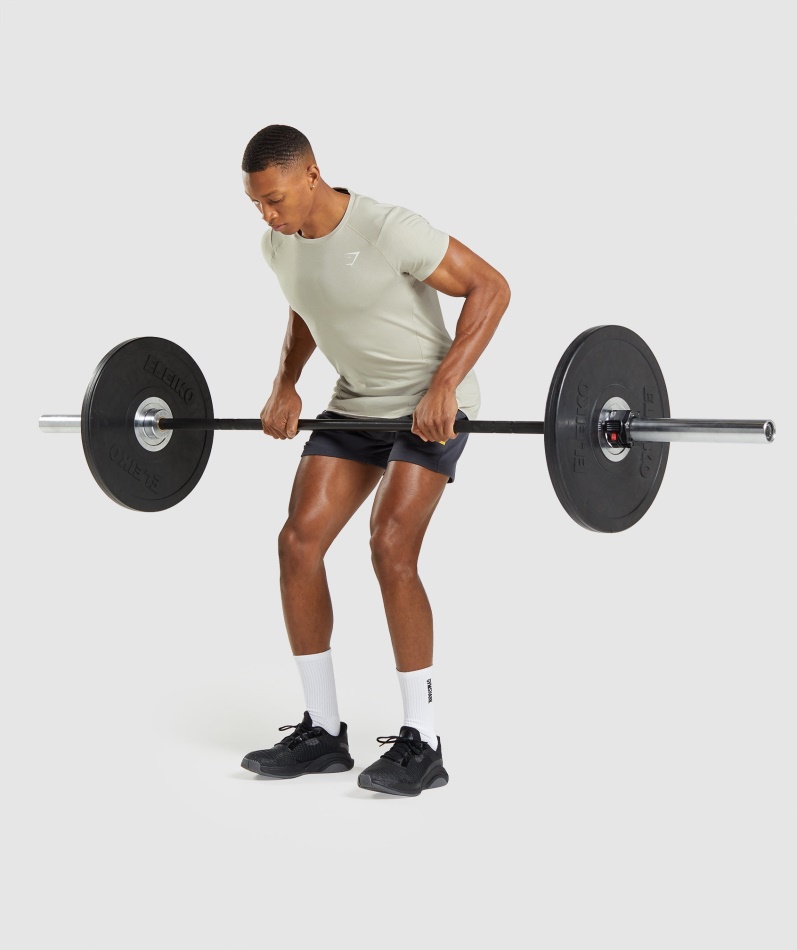 Gymshark Modig T-skjorte Pebble Grå