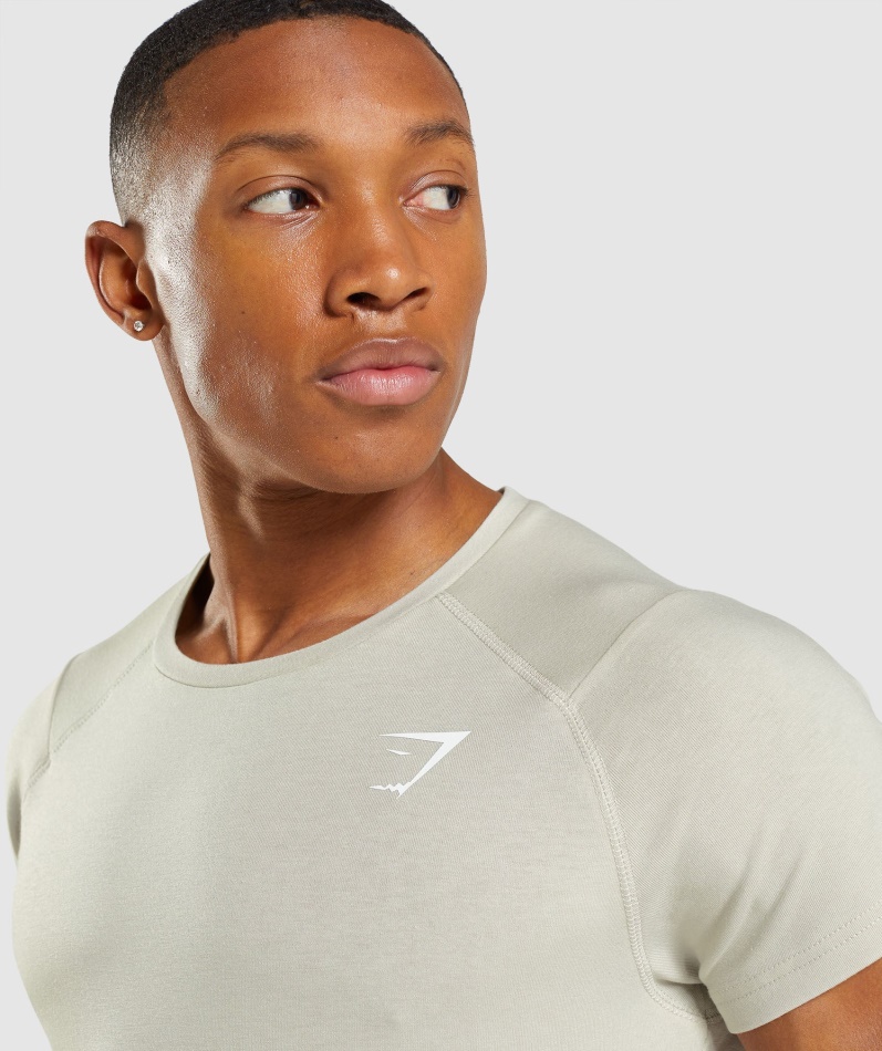 Gymshark Modig T-skjorte Pebble Grå