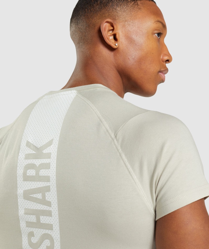 Gymshark Modig T-skjorte Pebble Grå