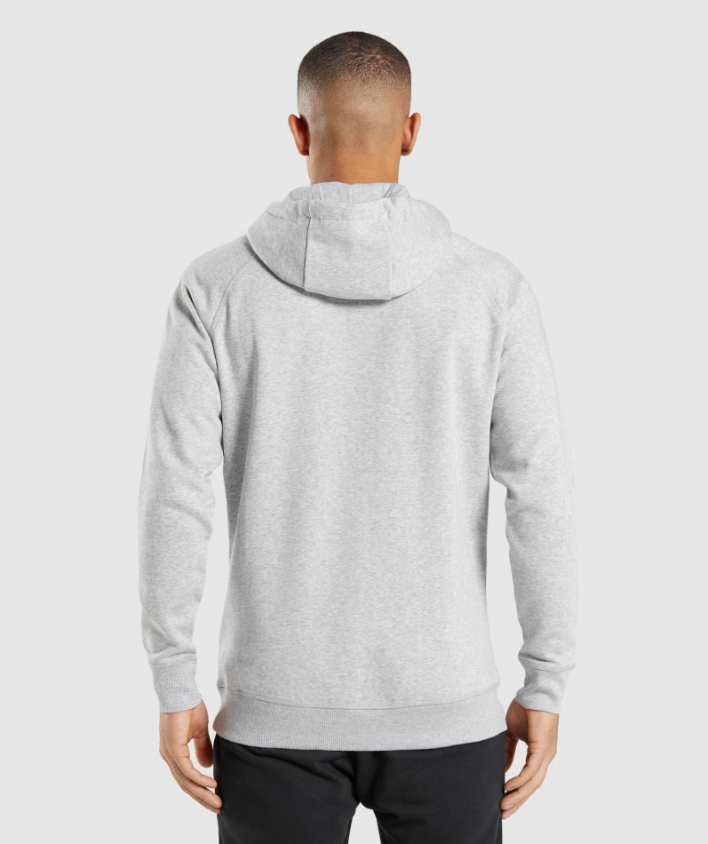Gymshark Crest Hettegenser Lys Grå Kjernemergel