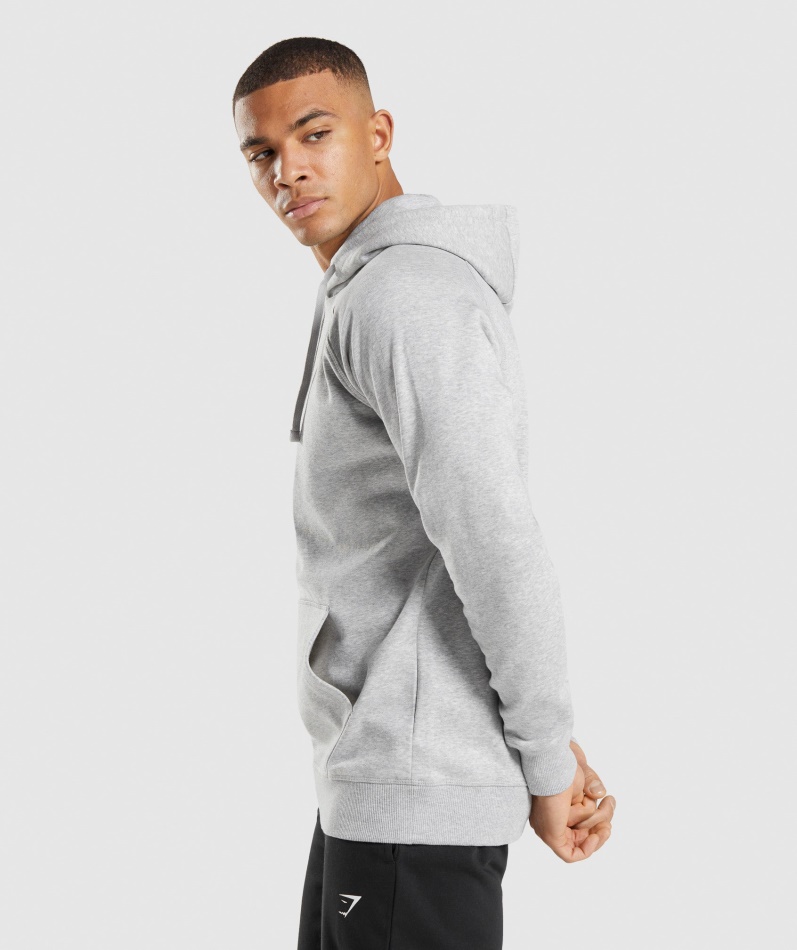 Gymshark Crest Hettegenser Lys Grå Kjernemergel