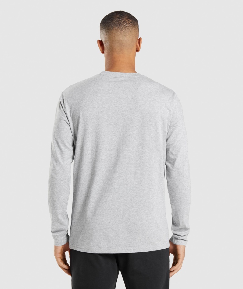 Gymshark Crest Langermet T-skjorte Lys Grå Kjernemergel