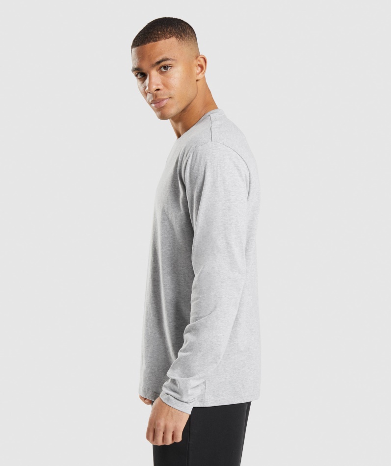 Gymshark Crest Langermet T-skjorte Lys Grå Kjernemergel